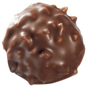 ROCHER AU CHOCOLAT AU LAIT